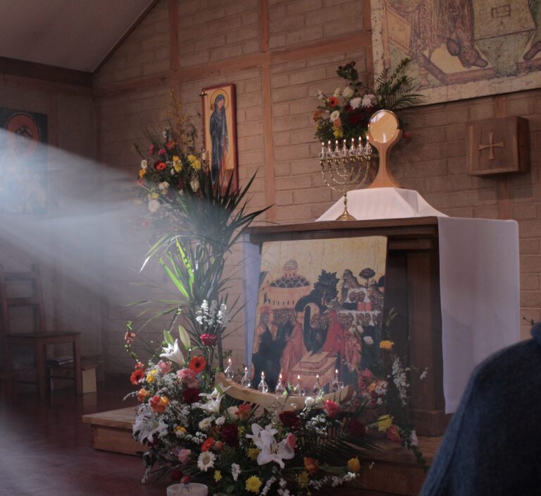 IMG 0791 3 768x703 1